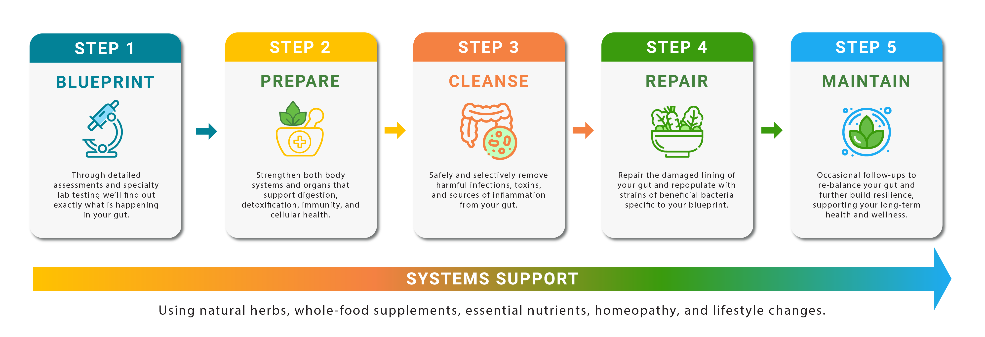 Dr Max Dula Digestive Functional Medicine gut renewal roadmap infographic